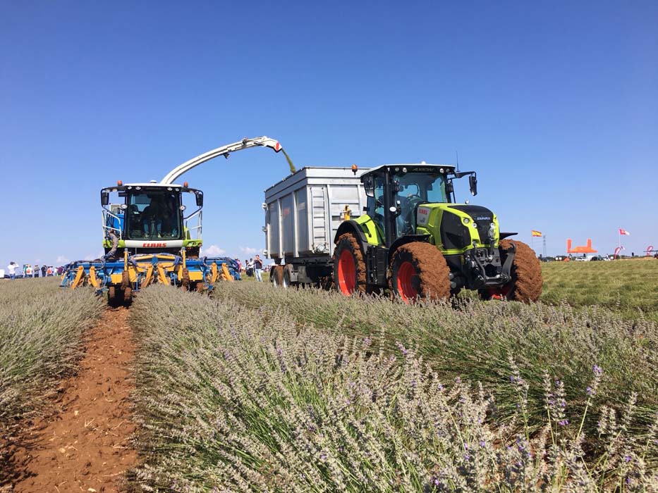 Demostración de maquinaria agrícola para el cultivo de la lavanda