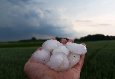 Agroseguro estima daños en más de 100.000 hectáreas por los pedriscos