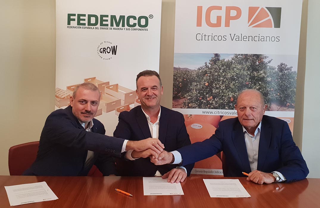 FEDEMCO e IGP Cítricos Valencianos unen fuerzas