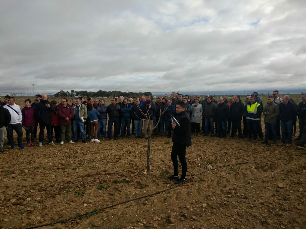 Villaverde de Medina acoge unas jornadas sobre la poda del pistachero