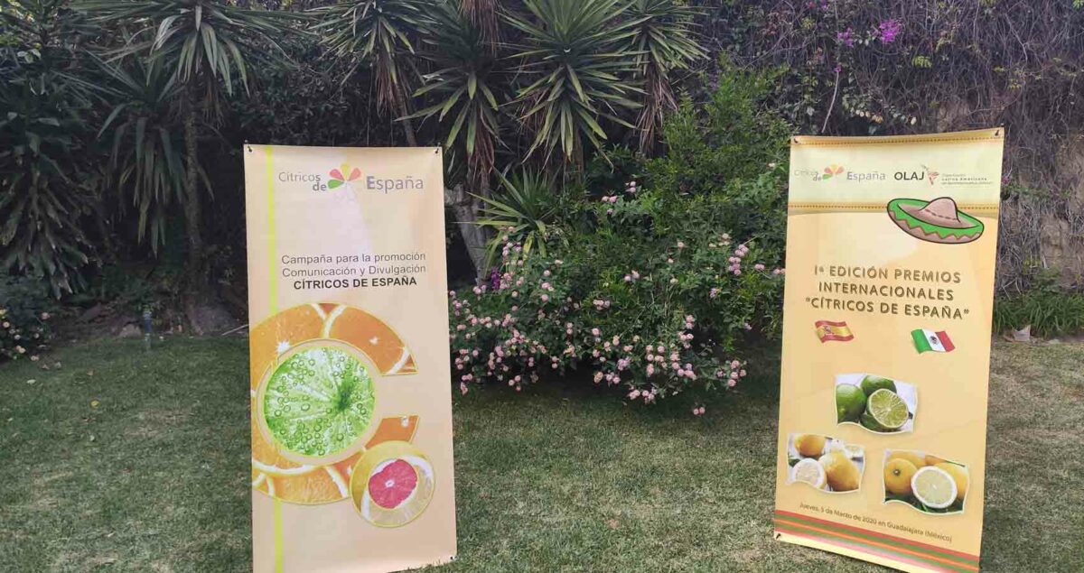 Los Premios Internacionales “Cítricos de España” triunfan con gran éxito