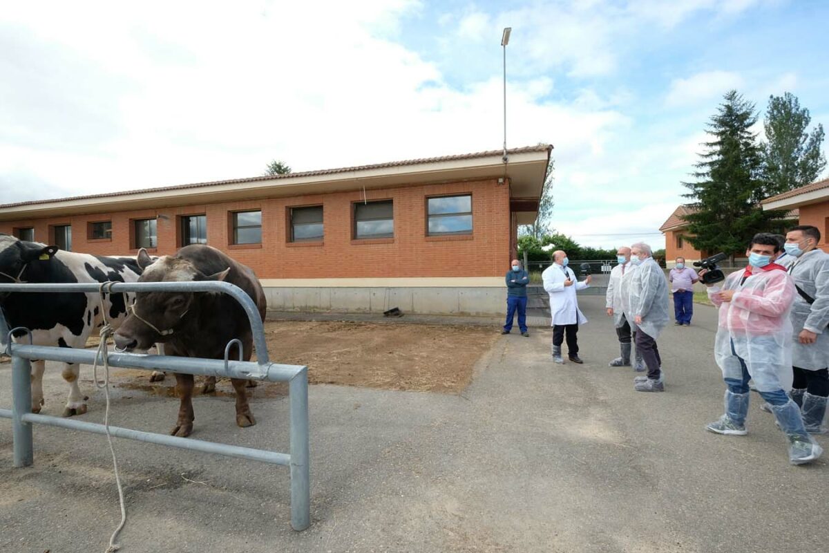 Excelencia técnica en las pruebas realizadas por los laboratorios de sanidad animal