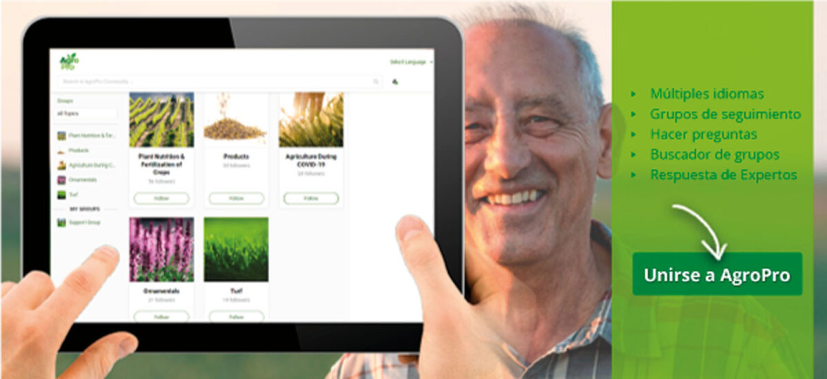 ICL crea AgroPro un servicio global en línea de información nutricional