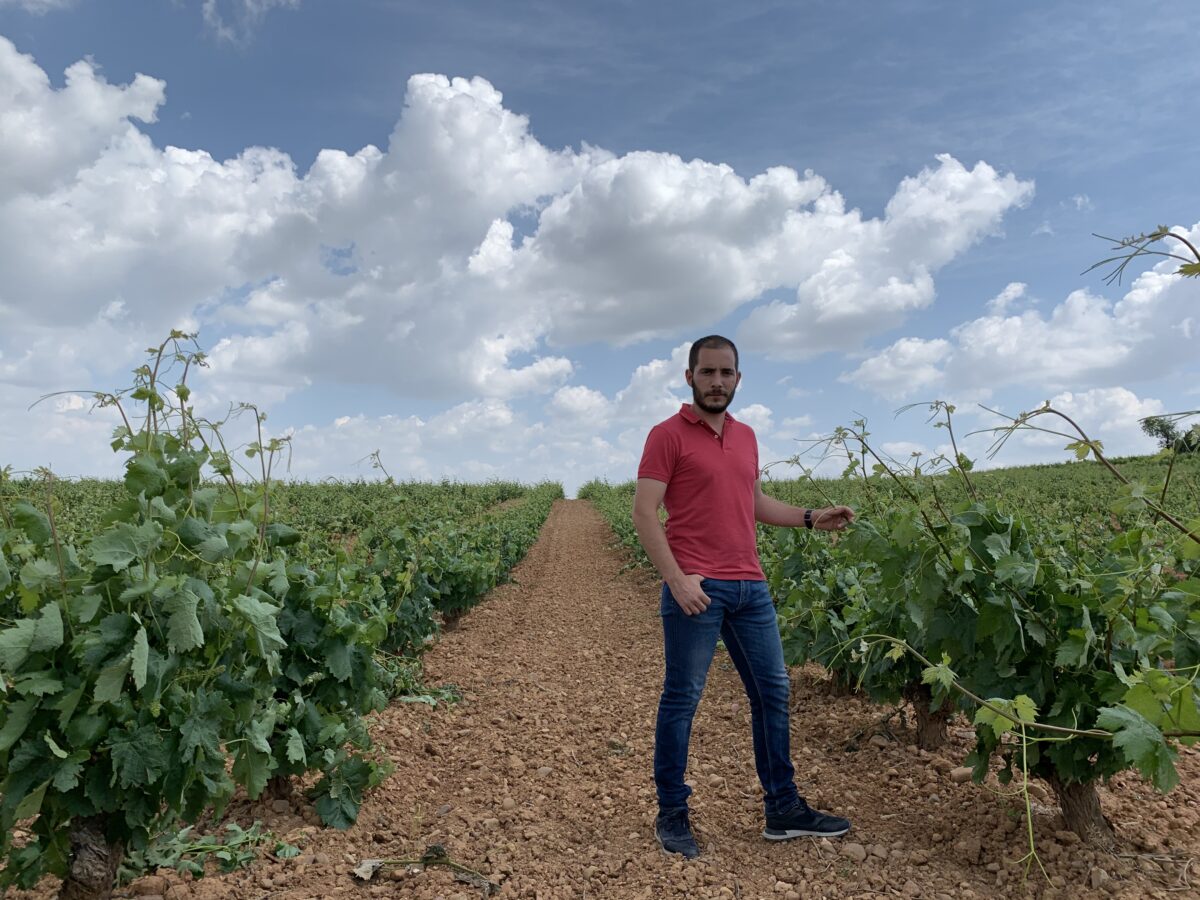 Los biopesticidas y los bioestimulantes, el nuevo reto para los viticultores