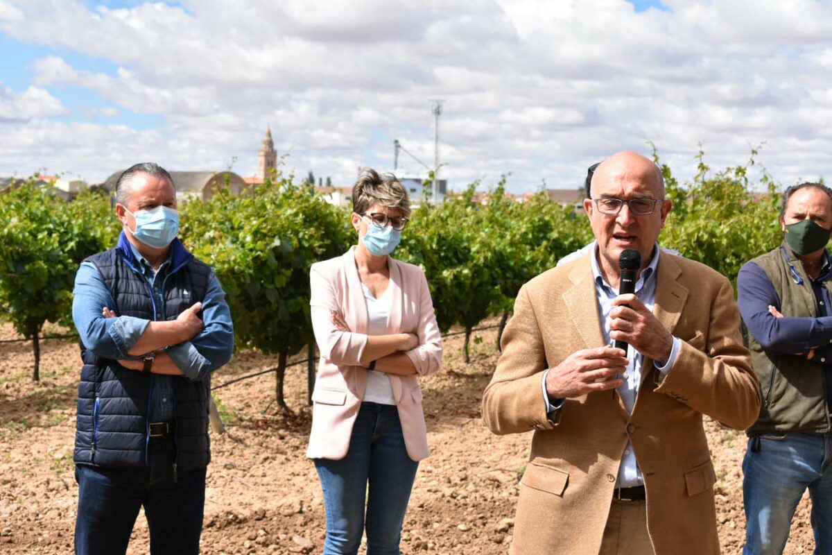 Publicadas las ayudas para la cosecha en verde dirigidas a los viticultores