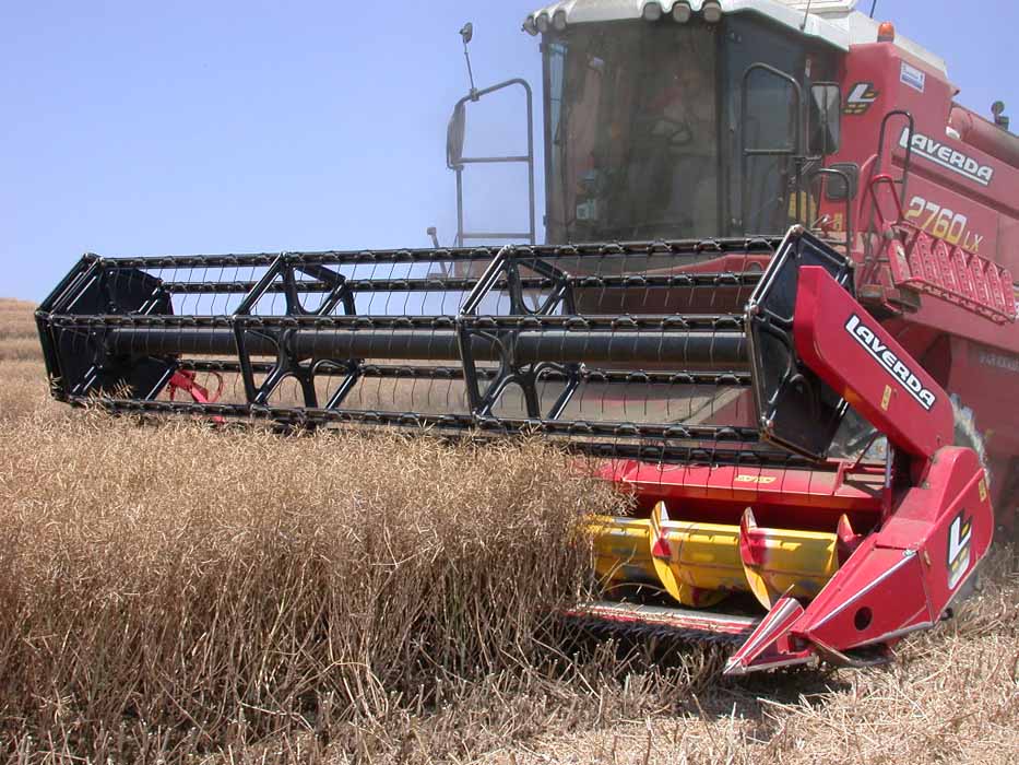 El Plan de Siembra Guiada de Pioneer también para colza