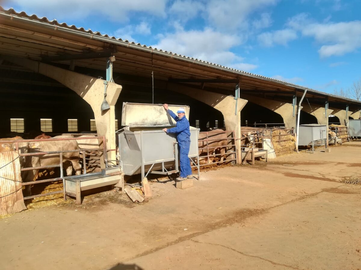 La ganadería, el último bastión de Tierra de Campos