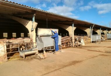 La ganadería, el último bastión de Tierra de Campos