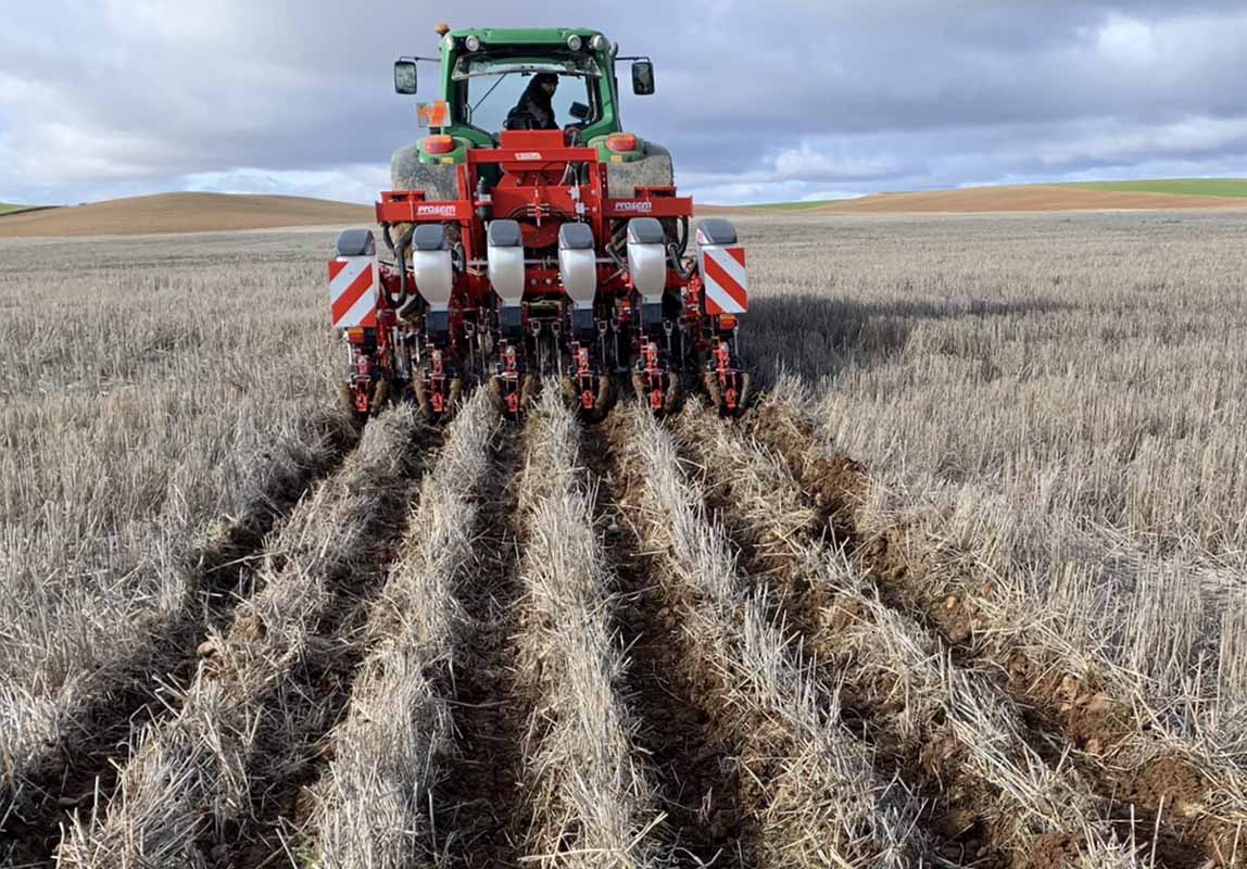 La siembra directa continúa con Strip-Till