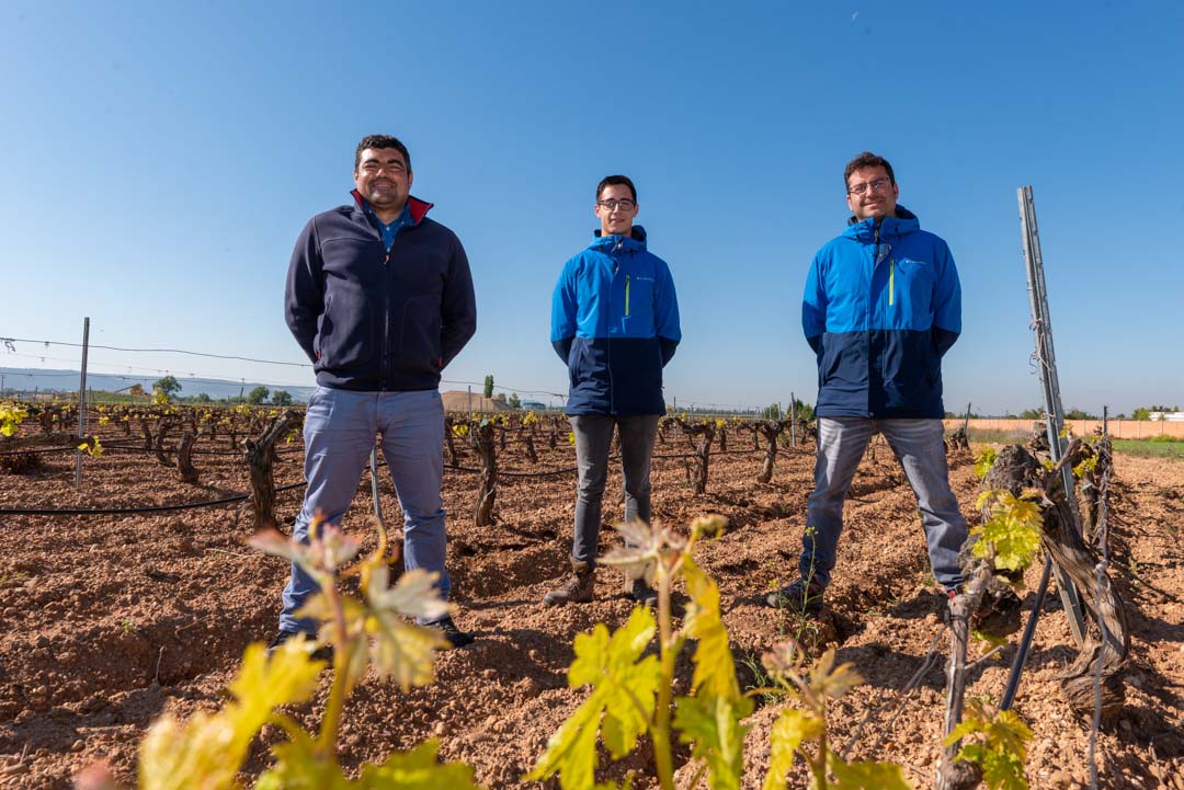Agro Valladolid Soaga ofrece soluciones a la carta y seguimiento técnico especializado en viñedos