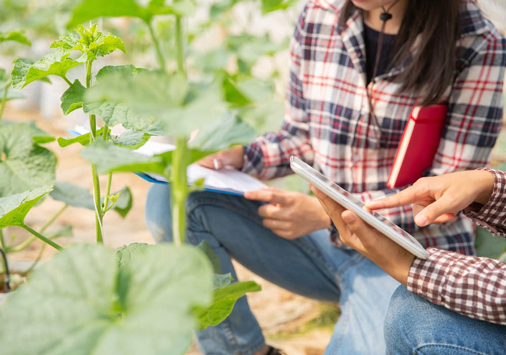 El Ministerio de Agricultura convoca los Premios de Excelencia a la Innovación para Mujeres Rurales