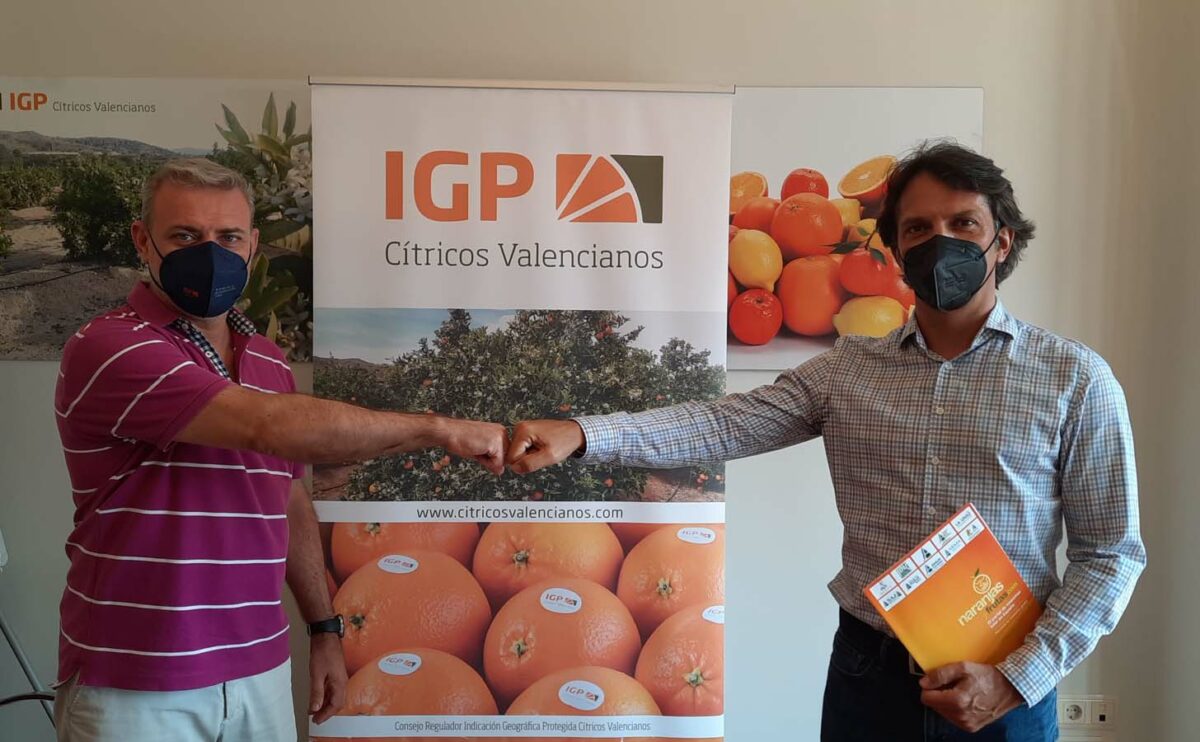 IGP Cítricos Valencianos y Naranjasyfrutas.com unen sus fuerzas para impulsar los cítricos con certificado de origen