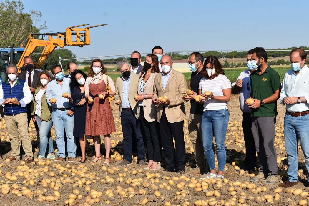 La patata de Castilla y León muestra su calidad a la distribución