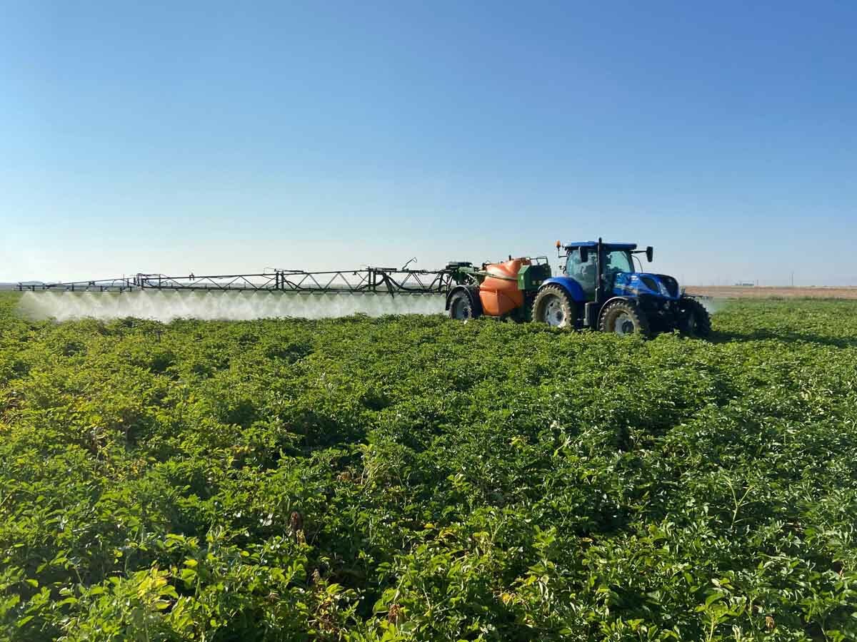 Los cultivadores de patata se pasan a SUPER STOP BROT® 18