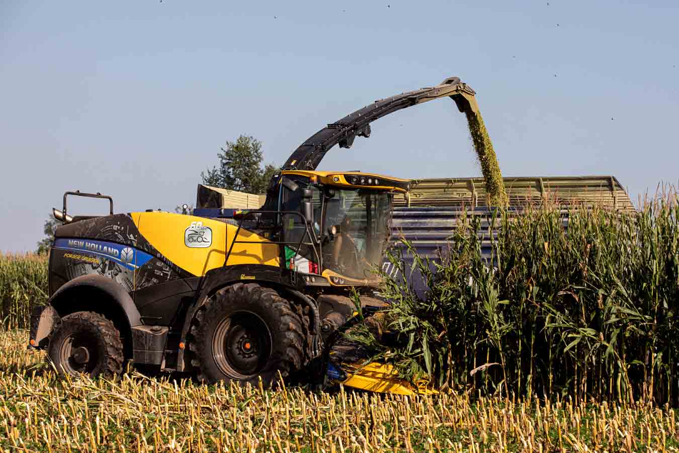 New Holland celebra el 60 aniversario de su picadora de forraje autopropulsada