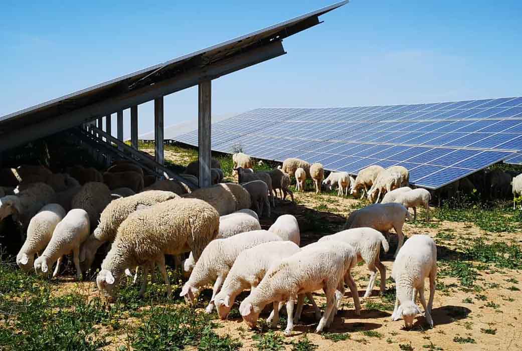 El campo se ‘enchufa’ a la energía del sol