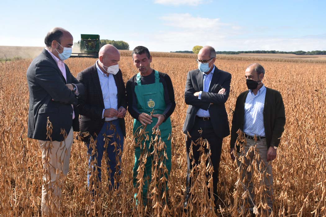 La soja un cultivo en estudio para el regadío de los agricultores de Castilla y León