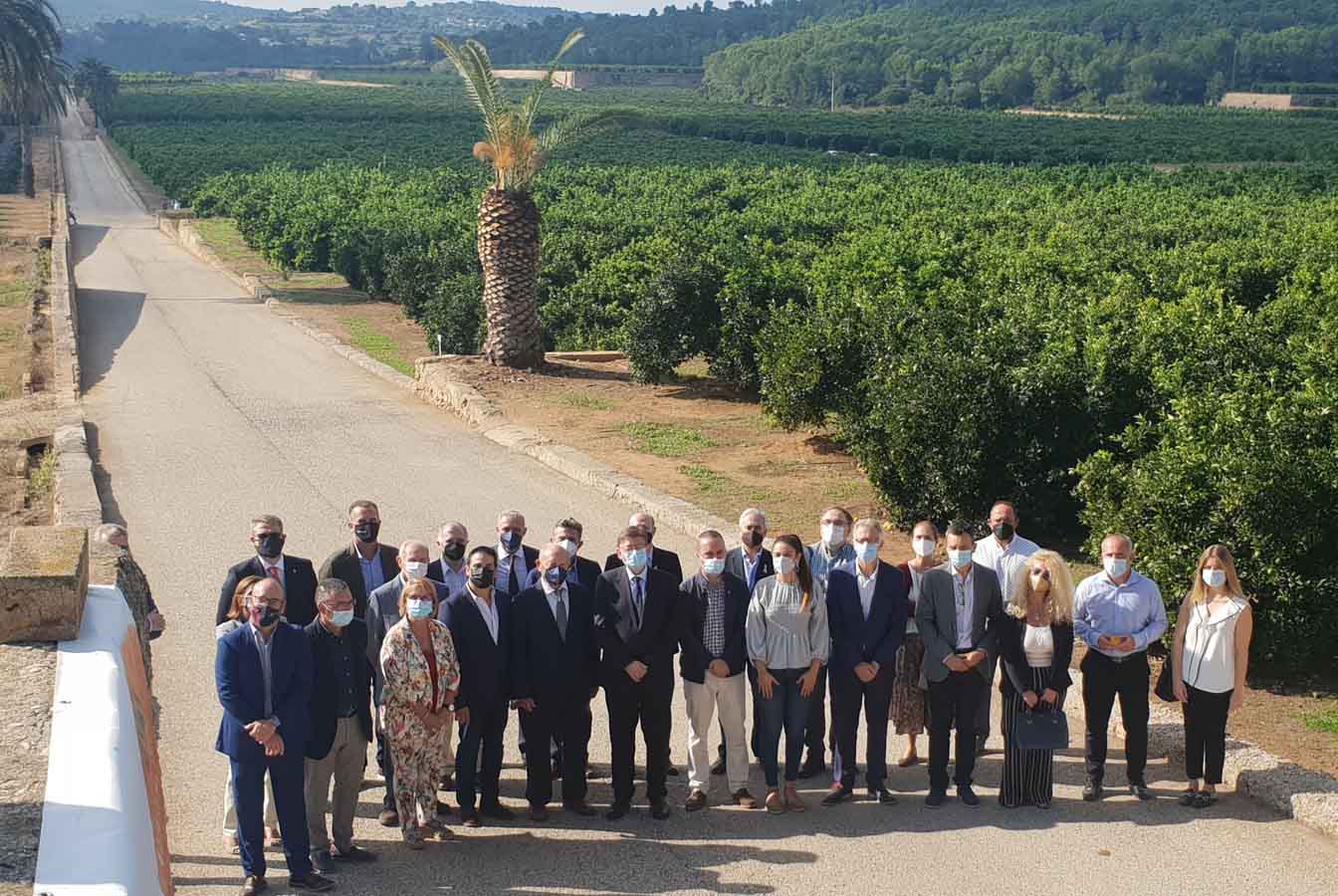 Los cítricos valencianos esperan una una campaña fluida equilibrada y de calidad