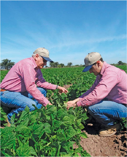 Synergy Agroinsumos inicia su expansión internacional en España Centroamérica y Estados Unidos