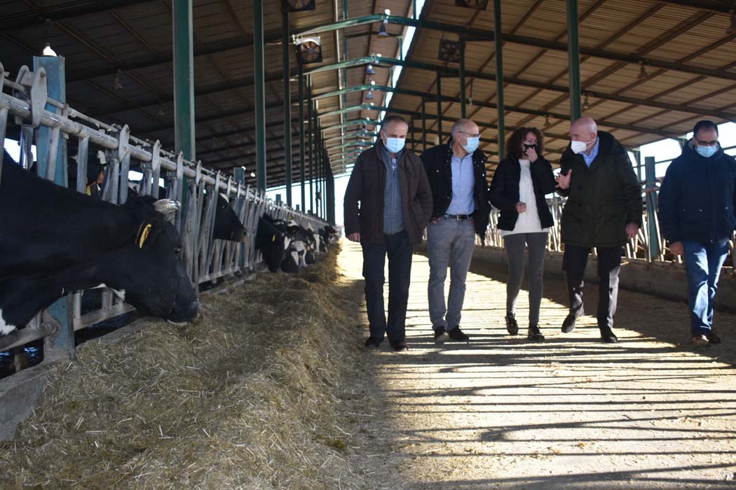 Castilla y León destinará ayudas de 5 millones de euros el vacuno de leche