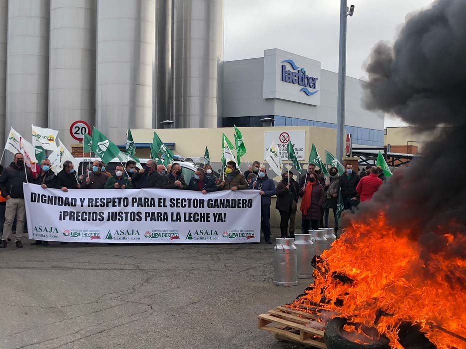 El gobierno no puede permanecer impasible ante la ruina de los ganaderos de vacuno de leche