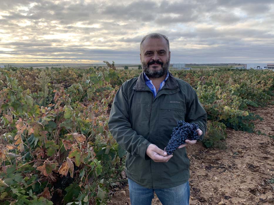 Felipe Nalda Álvarez reelegido Presidente de la Denominación de Origen Toro