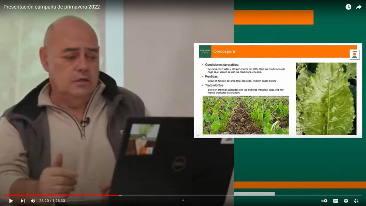 KWS presenta su campaña 2022 en cultivos de primavera