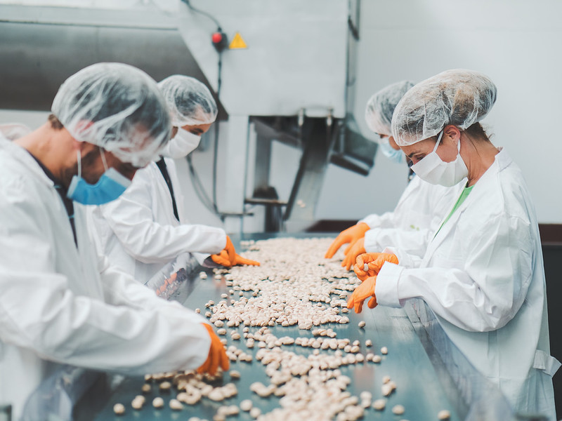 Pistacyl inicia la exportación de pistacho de Castilla y León.JPEG