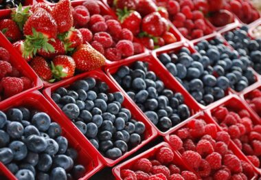 Las Berries de México participarán en Fruit Logistica 2022 abanderando la “calidad” y su “enorme internacionalización”