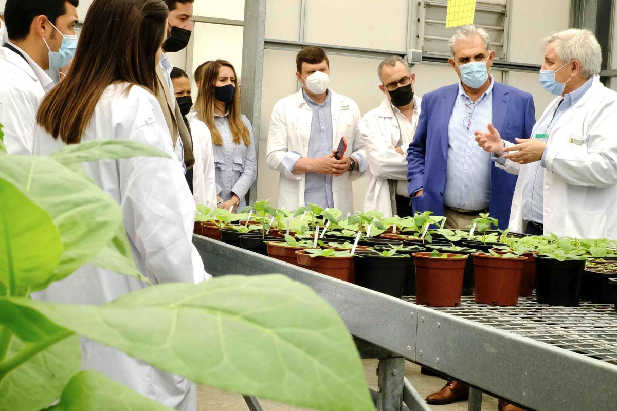 El futuro de la agricultura sostenible soluciones de base biológica respetuosas con el medioambiente