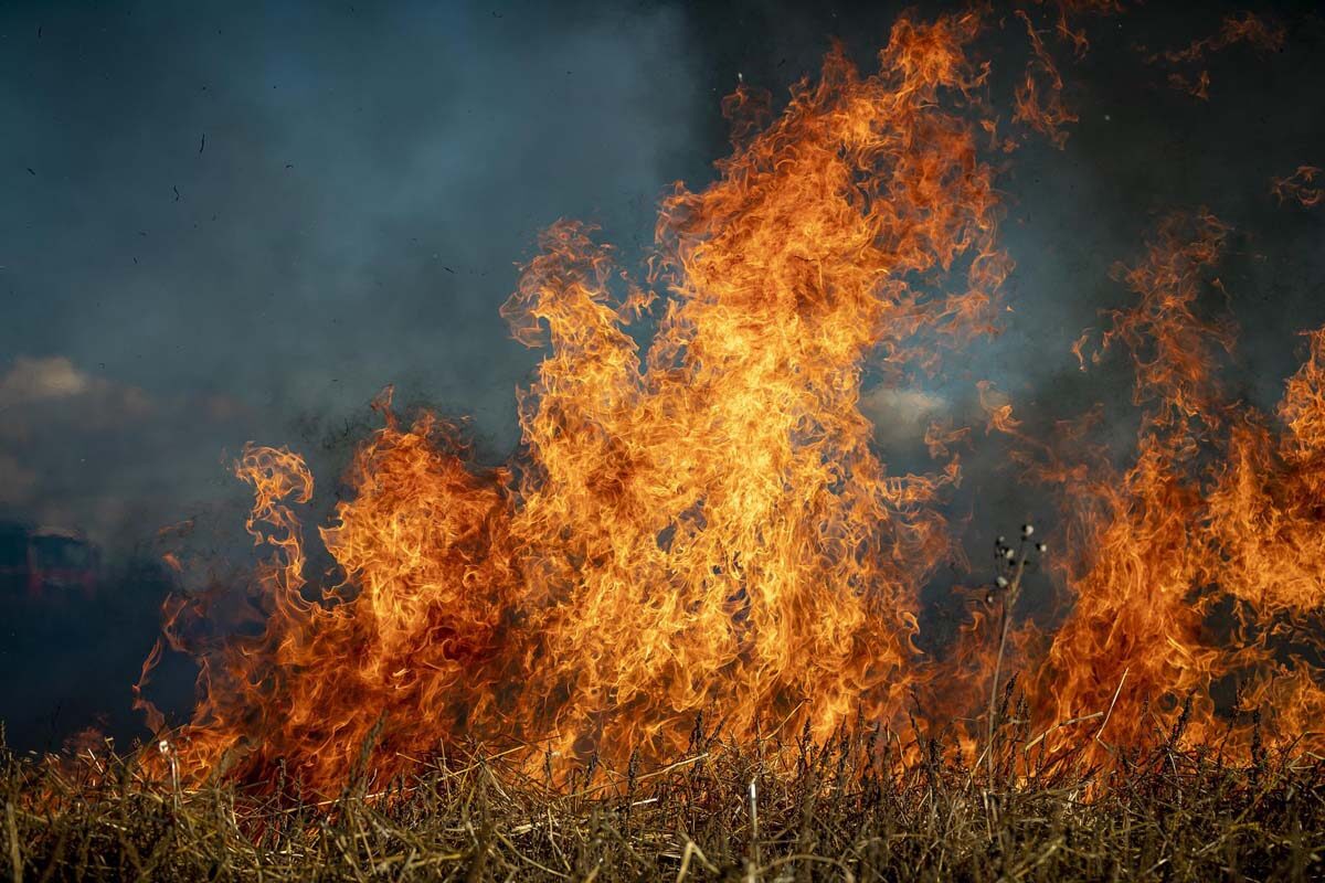 El cambio climático aumentará el riesgo de incendios en las dehesas españolas de “medio” a “muy alto”