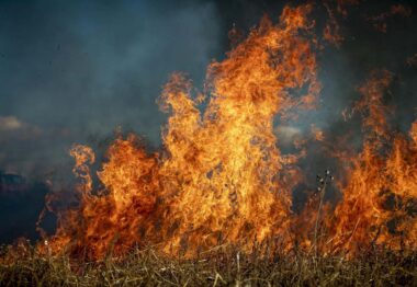 El cambio climático aumentará el riesgo de incendios en las dehesas españolas de “medio” a “muy alto”