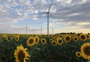 Energía renovable agricultura y ganadería la simbiosis es posible