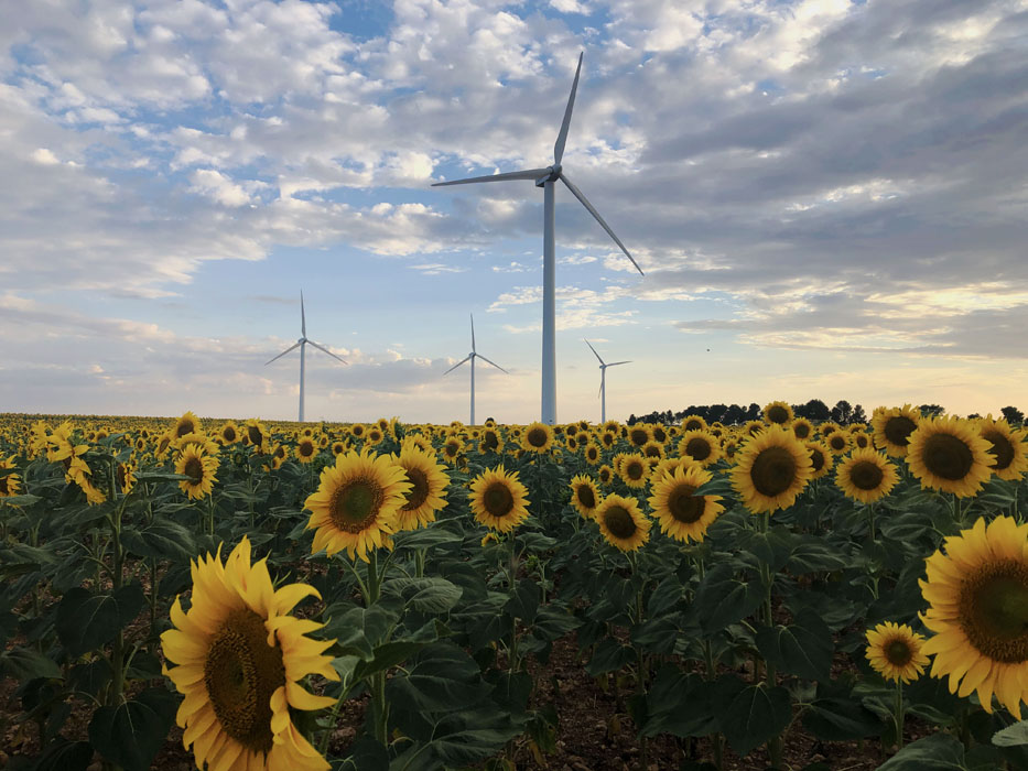 Energía renovable agricultura y ganadería la simbiosis es posible