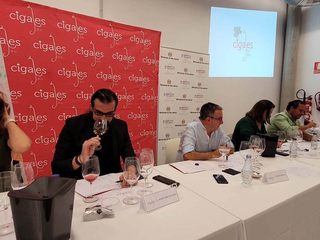 La D.O. Cigales califica la añada 2021 de excelente