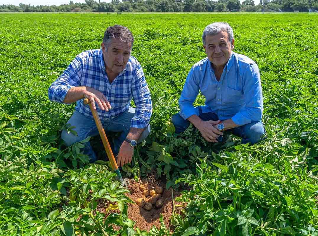 Los almacenistas doblan su apuesta por SUPER STOP BROT® 18