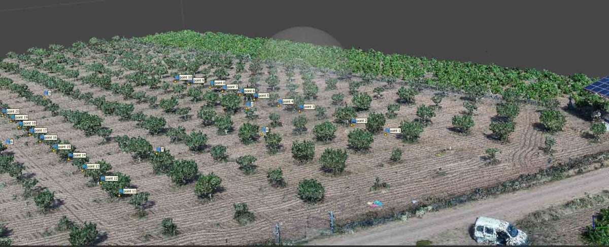 Pistacyl desarrolla un proyecto de parametrización con drones y sensores para mejorar la producción de pistacho