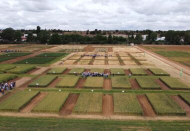 Vuelven las Jornadas de Campo ENTEC® en el ITACyL