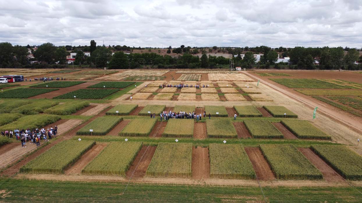 Vuelven las Jornadas de Campo ENTEC® en el ITACyL