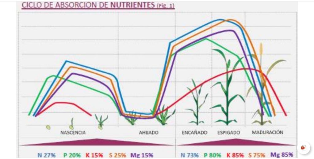 D-CODER TOP es el único fertilizante del mercado que se adapta a las necesidades nutricionales de los cultivos.
