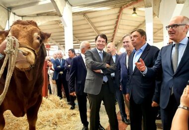 Castilla y León apoyará con 70 millones de euros a las explotaciones agrarias y ganaderas para hacer frente a la crisis