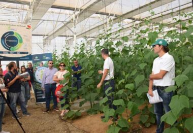 Certis Belchim analiza las claves del sector hortícola en la jornada “Hacia la horticultura del futuro”