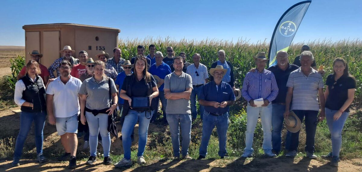 Bayer celebra dos jornadas sobre el cultivo del Maíz