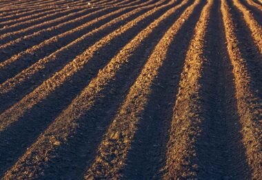 El azufre elemental y su papel esencial como corrector natural de las condiciones del suelo agrícola