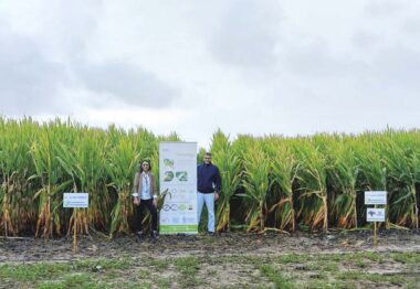 AlgaEnergy llevará sus soluciones bioestimulantes a base de fitoplancton a la feria Agraria de Valladolid