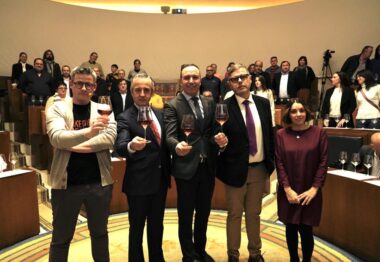 Más de 40 vinos presentes durante la puesta en escena de la nueva añada de la DO Cigales