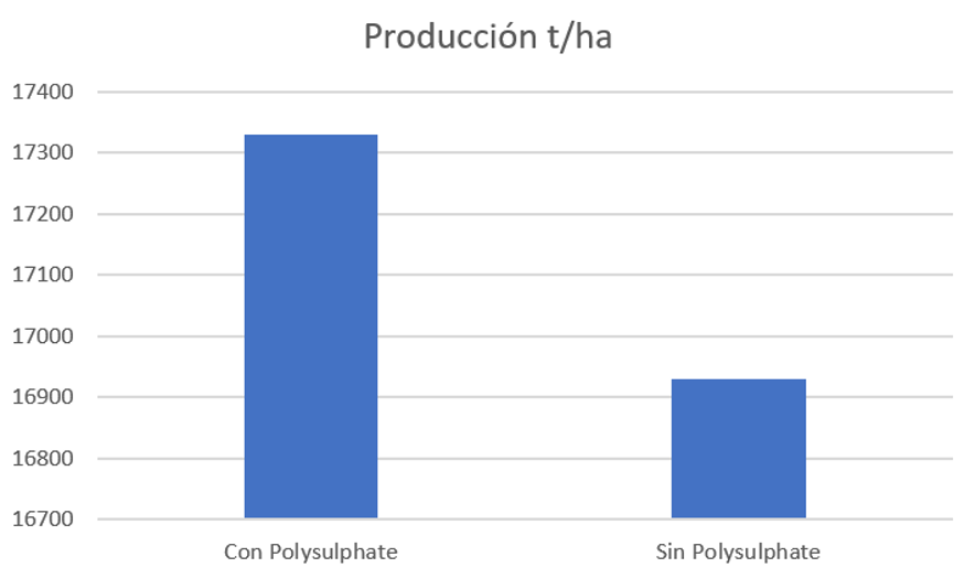 Cuadro 1.- Producción media en cada parcela