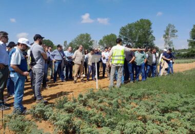 El Instituto Tecnológico Agrario de Castilla y León organiza una jornada para dar a conocer sus campos de ensayo de cultivos herbáceos extensivos