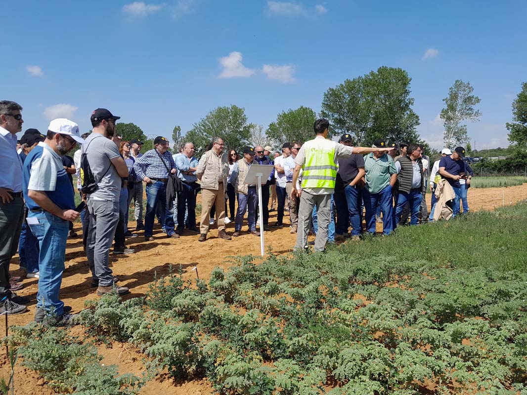 El Instituto Tecnológico Agrario de Castilla y León organiza una jornada para dar a conocer sus campos de ensayo de cultivos herbáceos extensivos