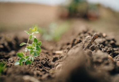 John Deere se alía con EIT Food para fomentar la descarbonización del campo